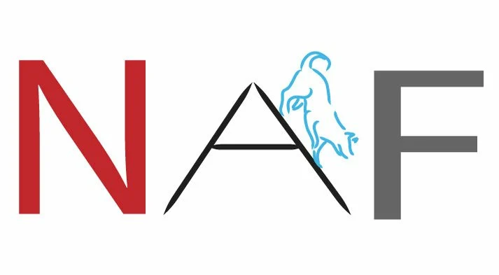 Nr. Broby Agility Forening